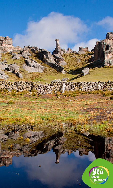 Bosque de piedras del Santuario Natural de Hauyllay.